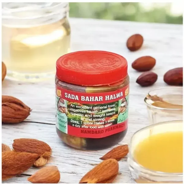 382807-3-800 Sada Bahar Weight Gain Halwa | Ayurvedic Herbal Appetite Booster & Natural Weight Gainer (100g)