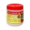 383770-2-800 Sada Bahar Health Tone Weight Gain Powder | Ayurvedic Appetite Booster & Natural Weight Gainer (100gm)